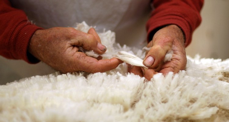 Se recoge la lana para eliminar la gran suciedad y separar los mechones antes de cardar.