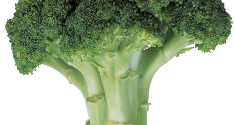 a broccoli plant
