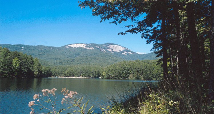 Las Blue Ridge Mountains ofrecen un pintoresco escenario para camping primitivo en Georgia.