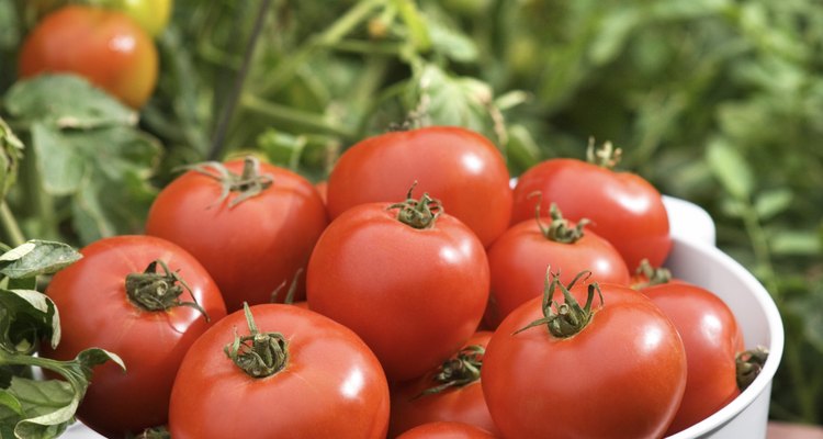 Los tomates serán un gran aditamento para tu pincho.