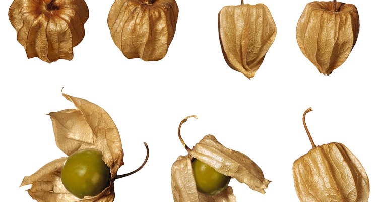 Cape gooseberry is also known as ground cherry, Peruvian cherry or golden husk.