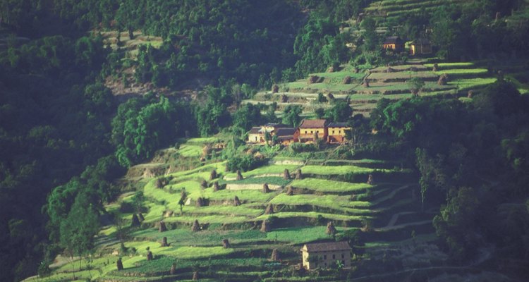 Terrace cultivation is an ancient technique for managing water runoff and soil erosion.