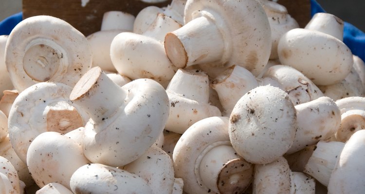 Mushrooms dehydrate well in microwave ovens.