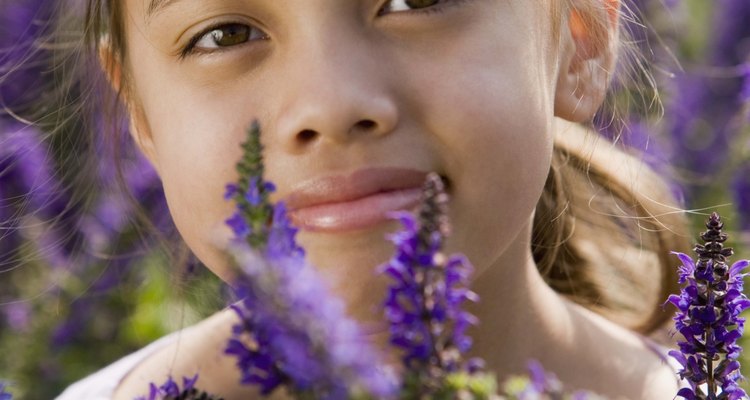 Usa flores de temporada para hacer guirnaldas y adornos para el cabello.
