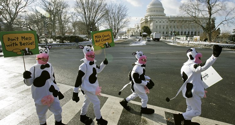 Manifestantes en disfraces de vaca, en Washington, DC.