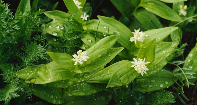 Get the look of natural rain drops with craft supplies.