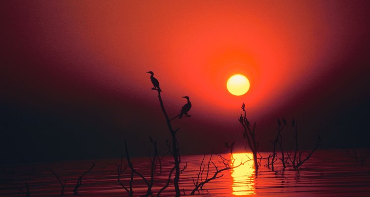 Lago Tanganyika