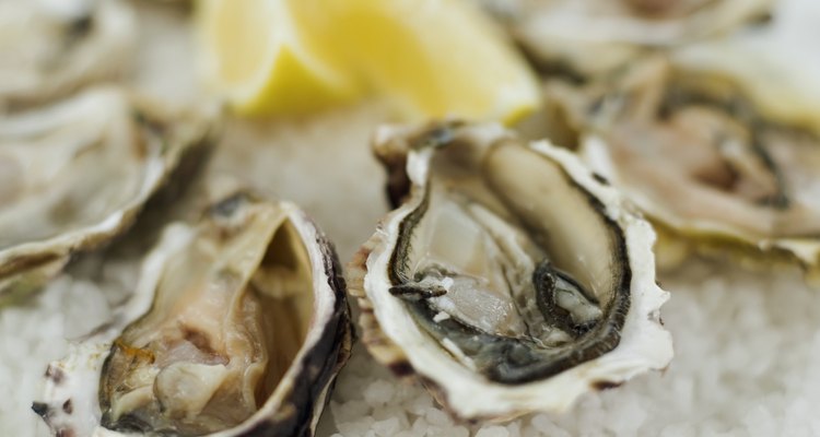 close-up of oysters served on crushed ice