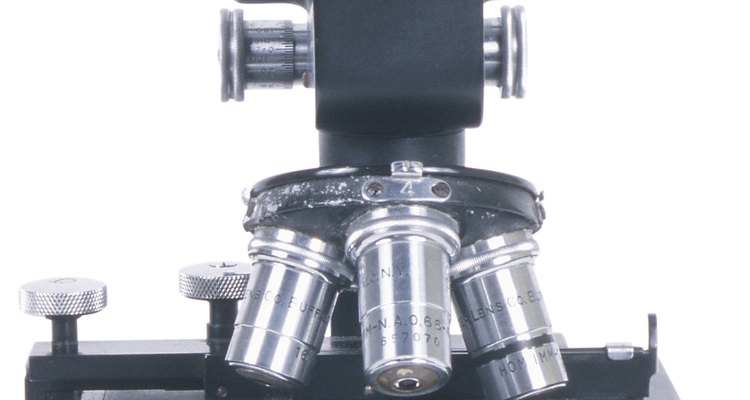 As lentes objetivas de microscópio são aquelas mais próximos da amostra examinada