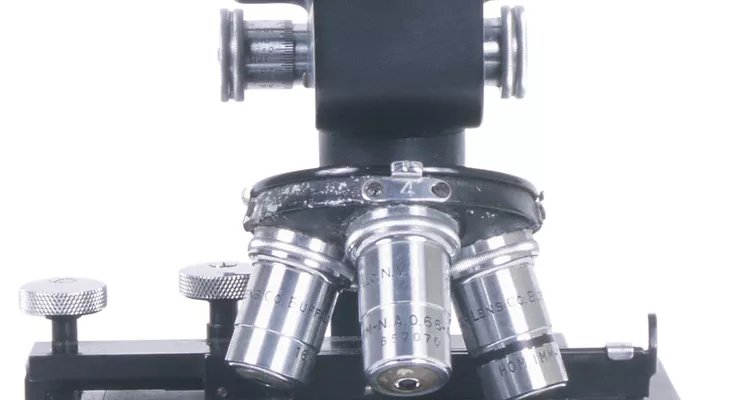 microscopio - O que são as lentes objetivas de um microscópio? 87719532