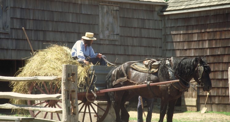 Amish Lifestyle Advantages & Disadvantages