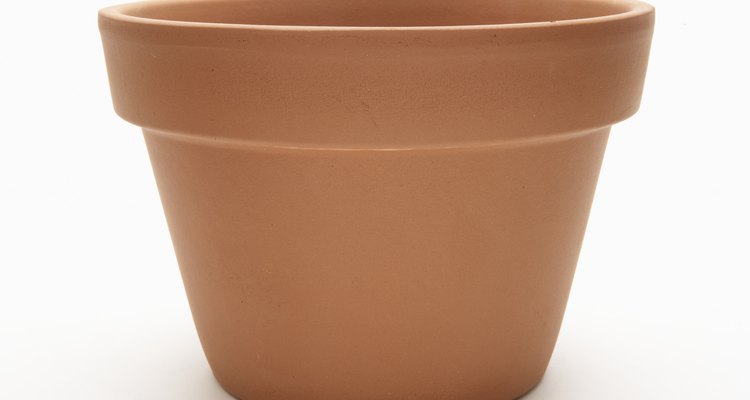 Terracotta flower pot