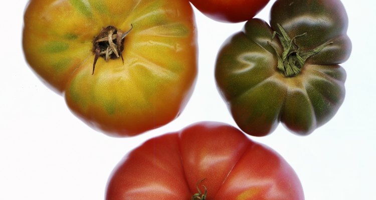 Las variedades de tomates de reliquia son de polinización abierta.