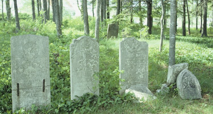 Dead pets can be buried in a pet cemetary