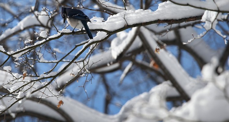 Major Snowstorm Bears Down On New York City