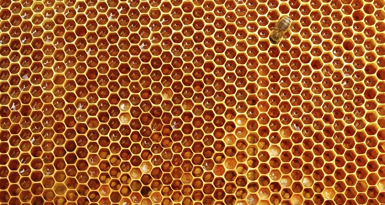 Honeycomb