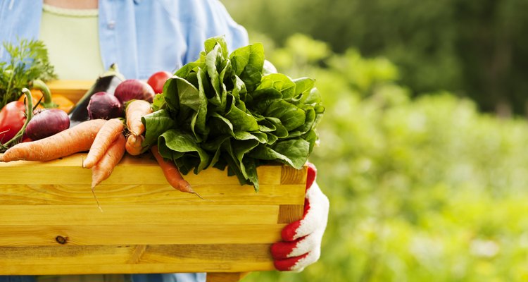 Senior woman holding box with vegetables