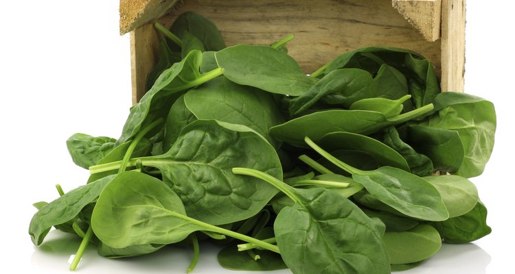 freshly harvested spinach leaves in a wooden box