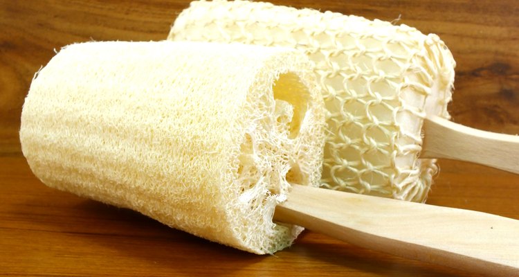 loofah sponge