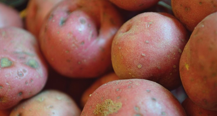 Closeup of red new potatoes in pile.