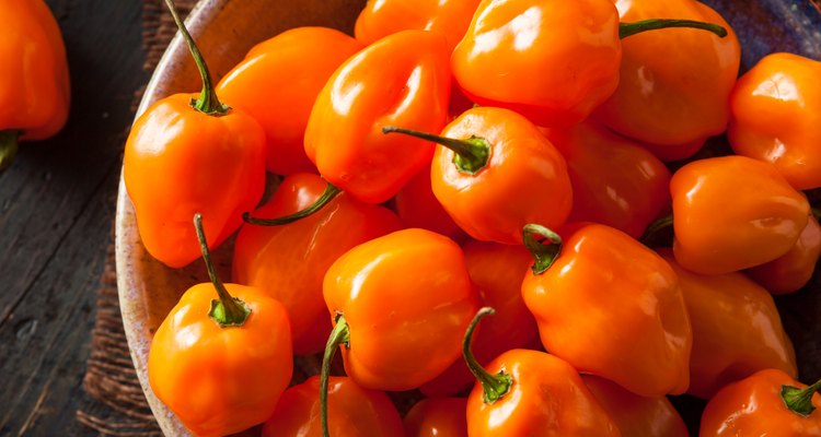 Raw Organic Orange Habanero Peppers
