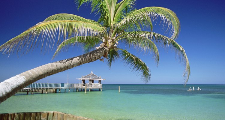 O caribe de Honduras