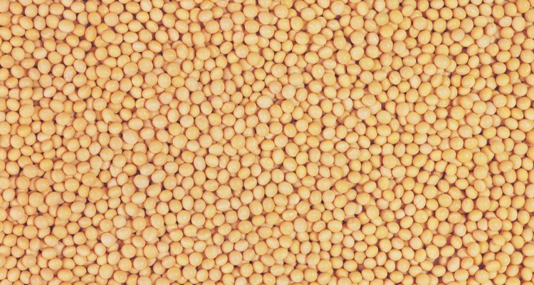 How to Cook Soybeans