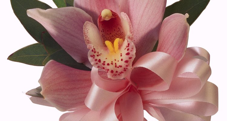 Los corsages a menudo se hacen con orquídeas.