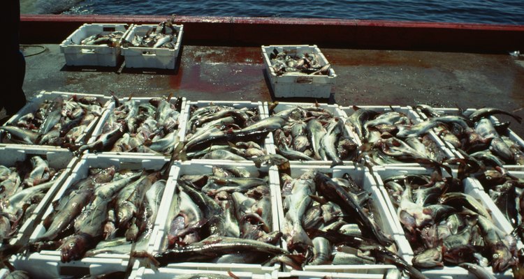A indústria de pesca comercial fornece peixes para as pessoas que não têm acesso a eles naturalmente