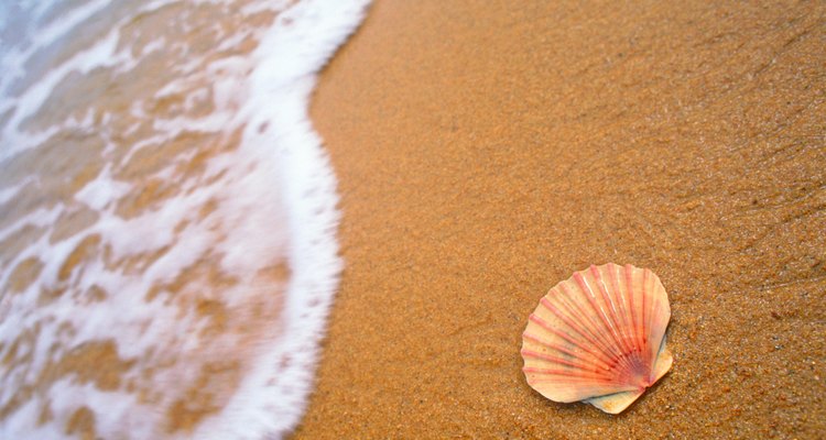 La grava de mar por lo general no se encuentra muy lejos de regiones como la Costa del Golfo, que tienen una gran cantidad de conchas.