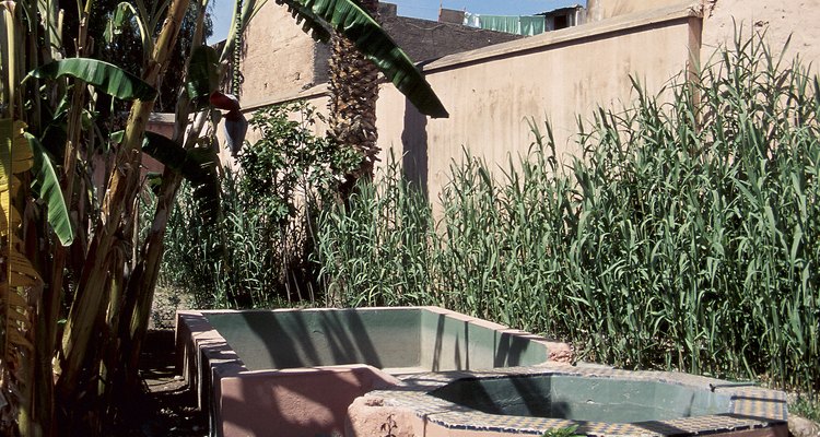 Las casas en climas desérticos necesitan permanecer frescas y conservar agua.