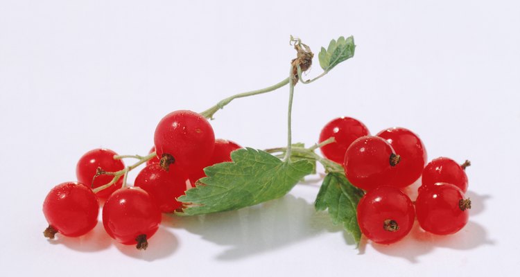 Red currants are worth growing.