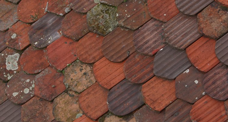 Tiled awnings can also have lichen growth.