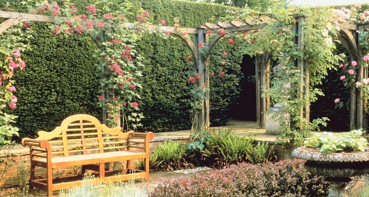 Las rosas trepadoras en una pérgola sobre una banca hacen más bello el jardín.