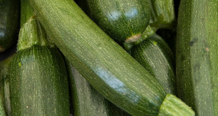 Close-up of fresh zucchini squashes