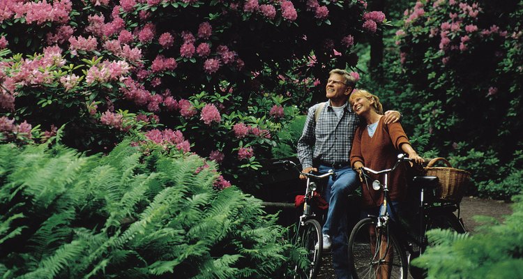 Puedes usar cualquier tipo de bicicleta para pasear en días agradables.
