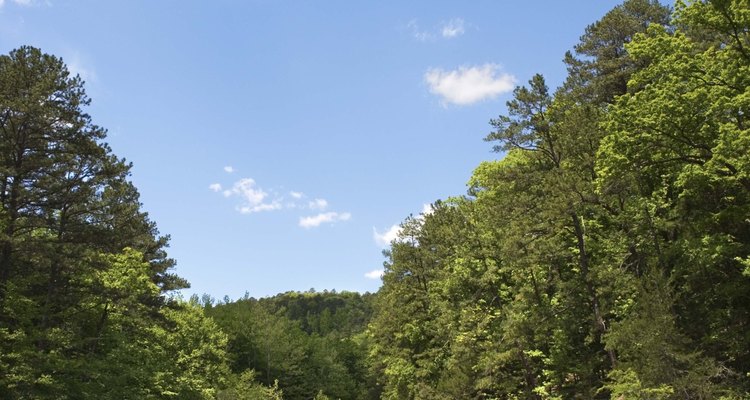 Las cascadas son muy abundantes a lo largo de muchas excursiones en Arkansas.
