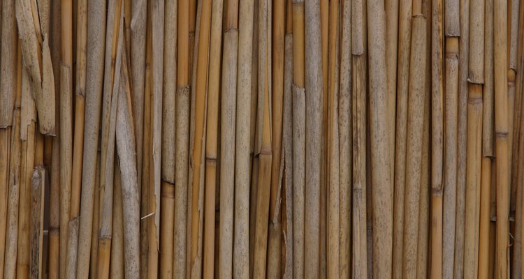 A bamboo reed fence is a good screen for privacy.