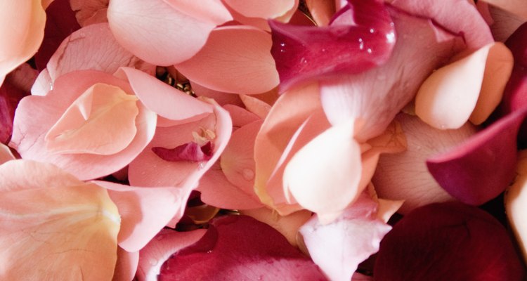 Rose petals add a delicate scent to your ironing water.