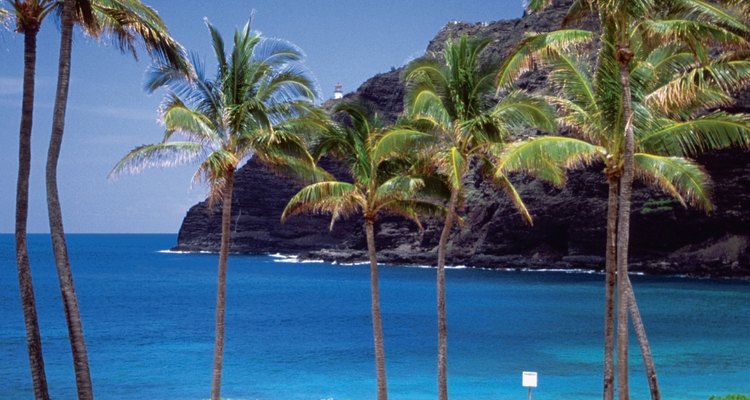 Pescar desde las costas de Oahu es una tradición por mucho tiempo honorada.