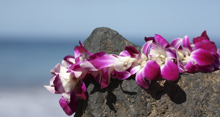 Lei on volcanic rock in Maui