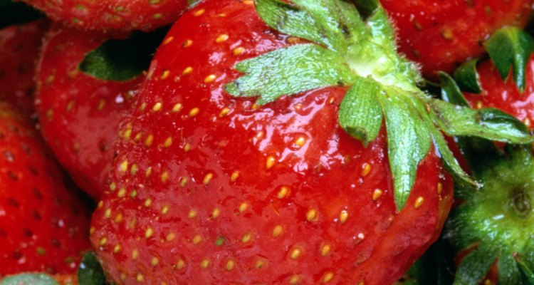 Las fresas son una fruta popular en los huertos familiares.