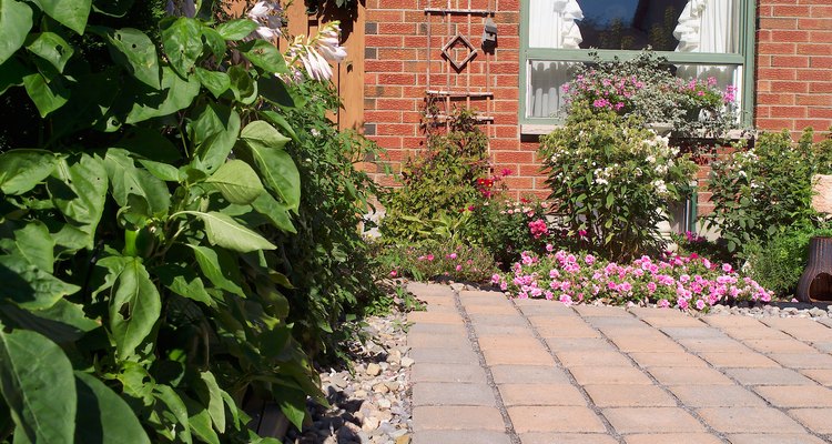 Mantén los ladrillos del patio sin hierbas con un herbicida natural.