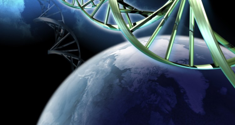 ADN códigos de la información genética, el diseño de la vida.