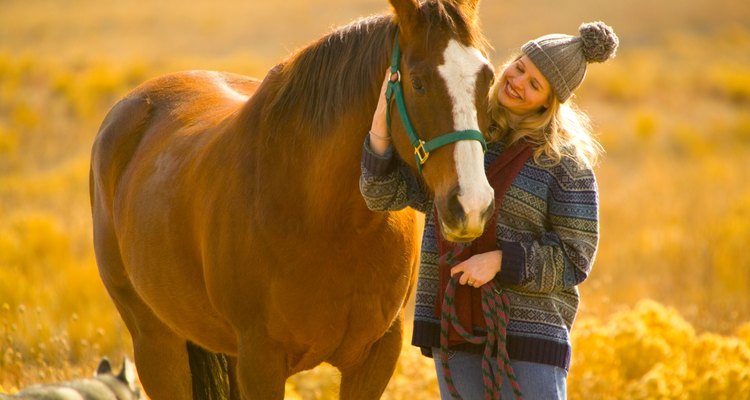 Passe um tempo com seu cavalo criando uma amizade e não exigências