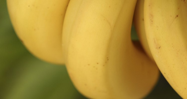 Los plátanos son bayas.