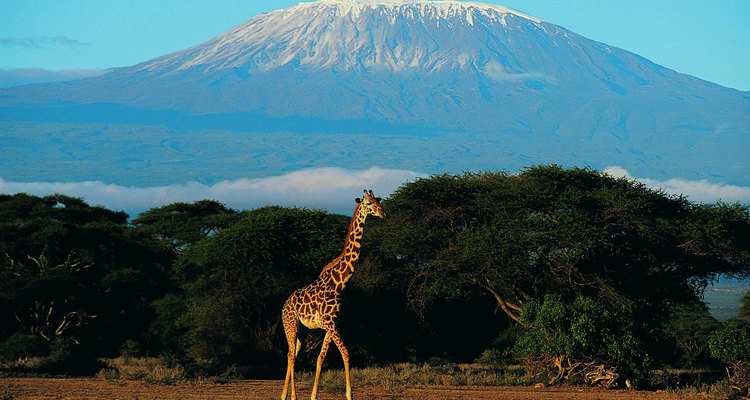 Los glaciares del monte Kilimanjaro atraen a miles de visitantes cada año.