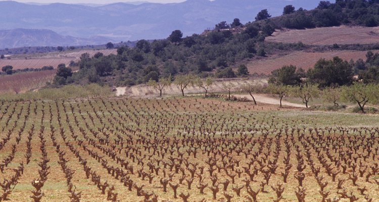 Grazelma te ofrece una excelente opción para sacar tu bicicleta y adentrarte en los lugares remotos de Andalucía.