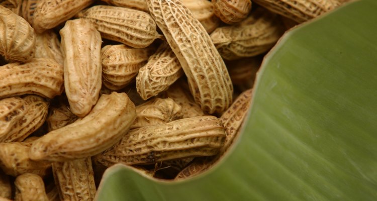 Comer amendoim demais pode resultar em um aumento do peso