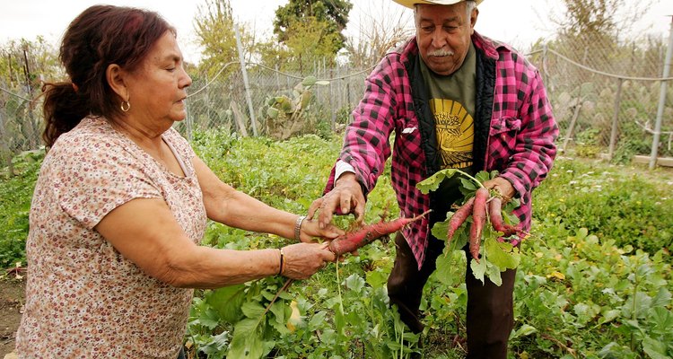 The Nation's Largest Community Garden To Be Sold By Developer